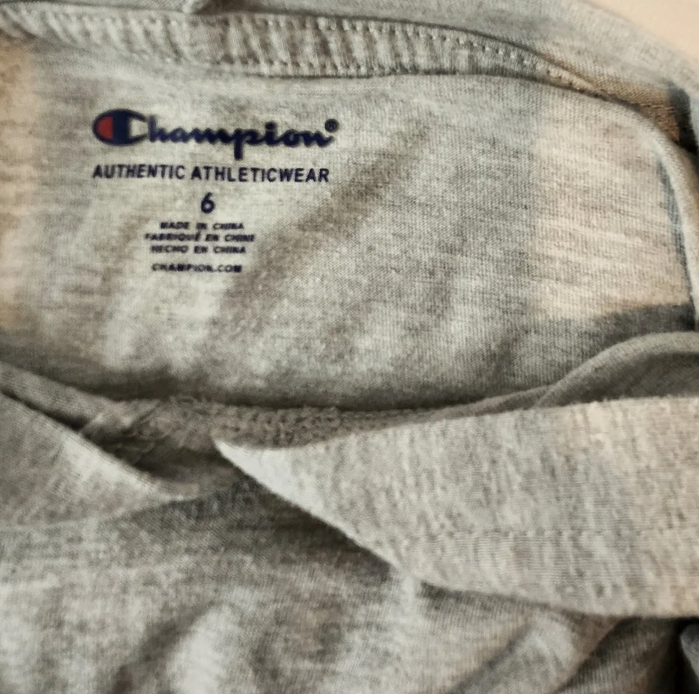 Champion Gray Hoodie - Picture 4 of 4